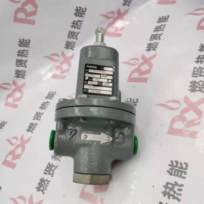 Shang Hai Ran Xian M95H the Relief Valve for Fisher Stock 209