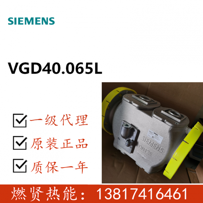 VGD40.065L Gas Valve for SIEMENS STOCK 20 Original and New