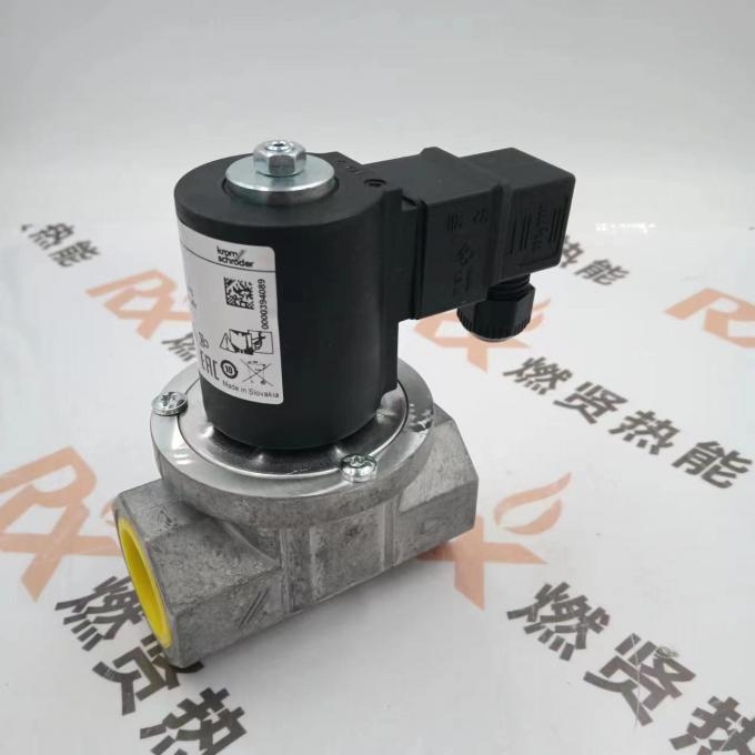 Original Brand New VGP25R01W6 the Order No.85296300 Gas Pressure Reducing Valve for KromSchroder Stock