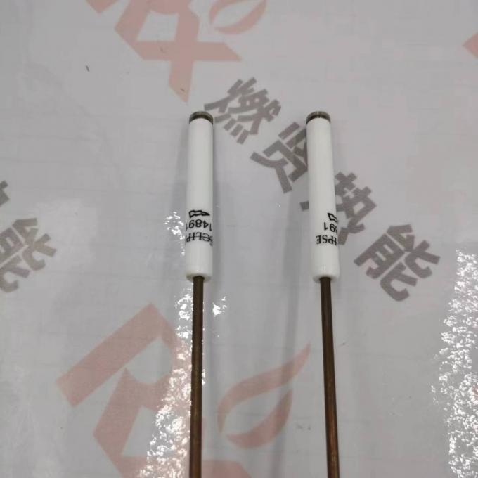 Ignition Electrode Sensing Probe Electrode Spark Plug 14891 Detector for ECLIPSE MAXON Stock20