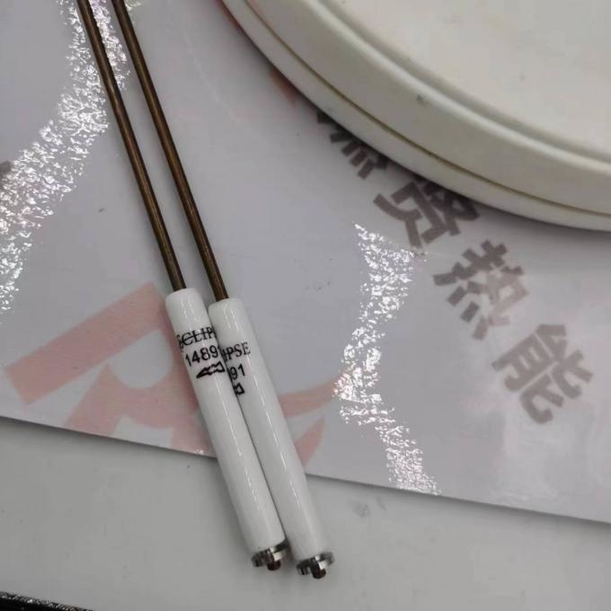Ignition Electrode Sensing Probe Electrode Spark Plug 14891 Detector for ECLIPSE MAXON Stock20
