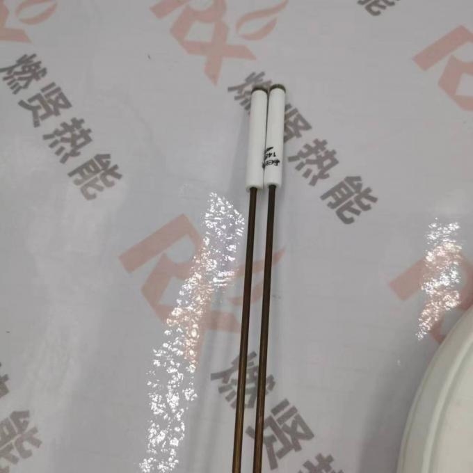 Ignition Electrode Sensing Probe Electrode Spark Plug 14891 Detector for ECLIPSE MAXON Stock20