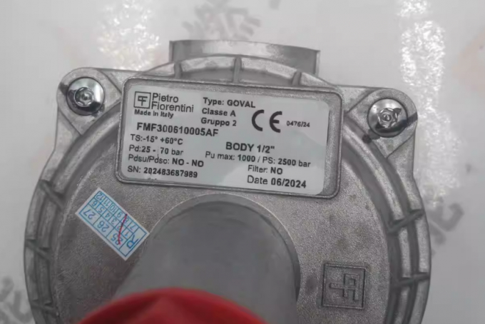 PIETRO-FIORENTINI  FMF 300610003AF Gas Pressure Regulator for Burners Designed for Burners and Boilers Original