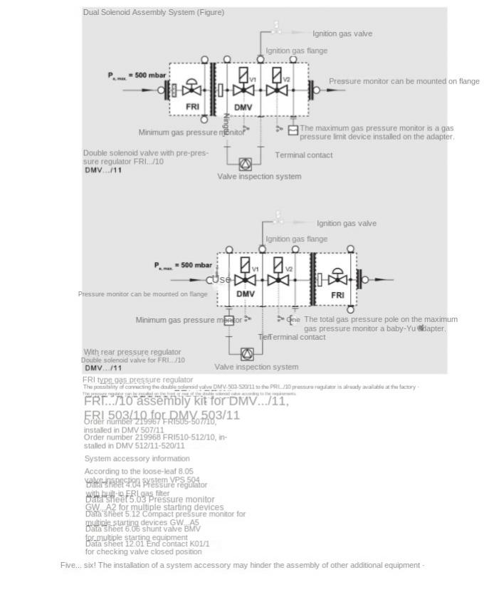 German Winter SIEMENS Gas Double Solenoid Valve DMV-D512/11 Metal 1 Year Warranty Original in Stock