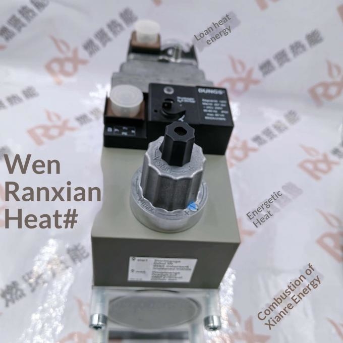 Germany DUNGS Winter Gas Combination Valve MB-DLE415B01S20 MB-DLE420B01S50  Spot Original