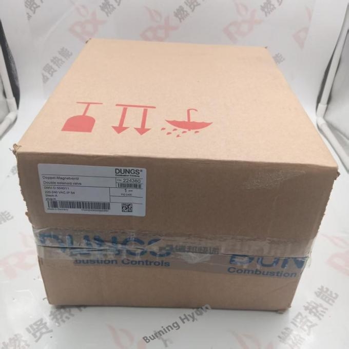 Boiler Gas Valve Gas Combination Solenoid Valve DMV-D5100/11 ECO Gas Solenoid Valve  DUNGS