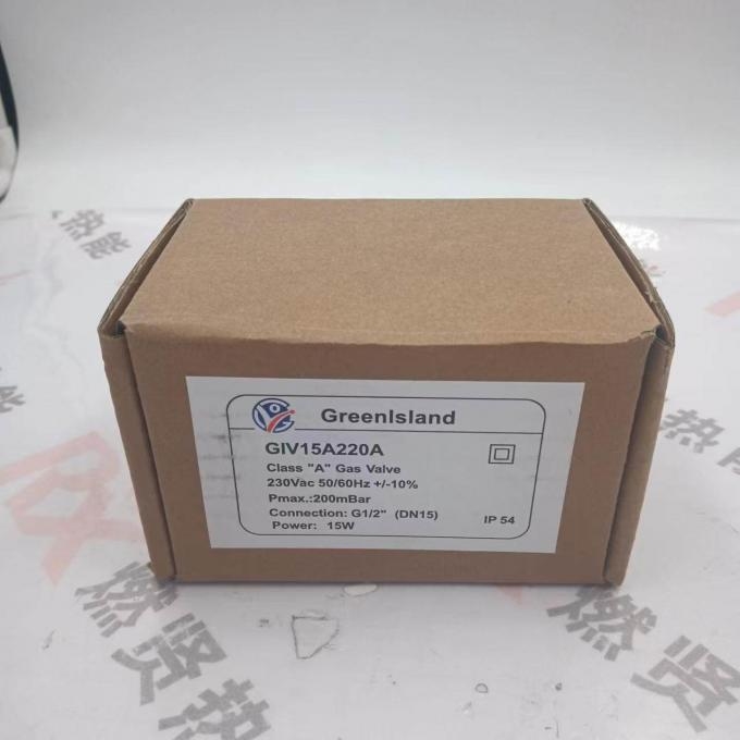 Chinese Version GreenIsland Gas Solenoid Valve GIV20B220A 1 Year Warranty Original