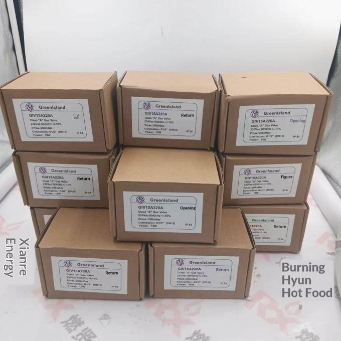 Chinese Version GreenIsland Gas Solenoid Valve GIV20B220A 1 Year Warranty Original