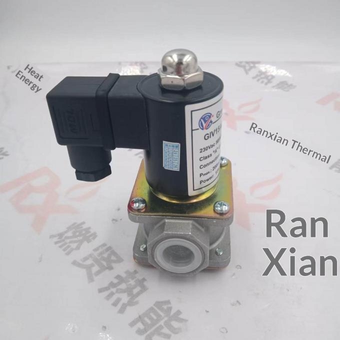 Chinese Version GreenIsland Gas Solenoid Valve GIV20B220A 1 Year Warranty Original