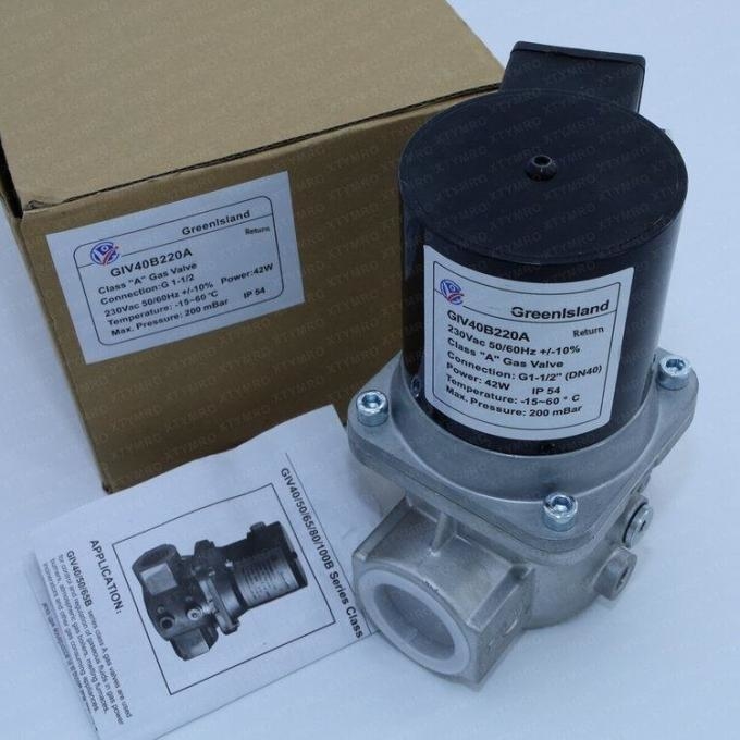 Chinese Version GreenIsland Gas Solenoid Valve GIV20B220A 1 Year Warranty Original