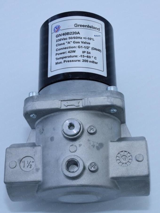 Chinese Version GreenIsland Gas Solenoid Valve GIV20B220A 1 Year Warranty Original