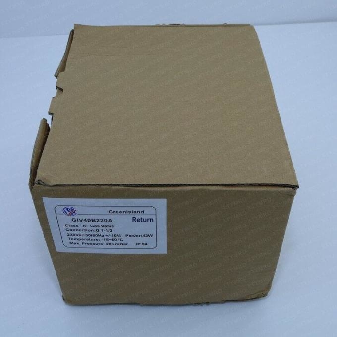 Chinese Version GreenIsland Gas Solenoid Valve GIV20B220A 1 Year Warranty Original