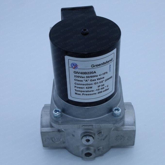 Chinese Version GreenIsland Gas Solenoid Valve GIV20B220A 1 Year Warranty Original