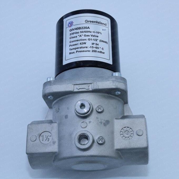 Chinese Version GreenIsland Gas Solenoid Valve GIV20B220A 1 Year Warranty Original