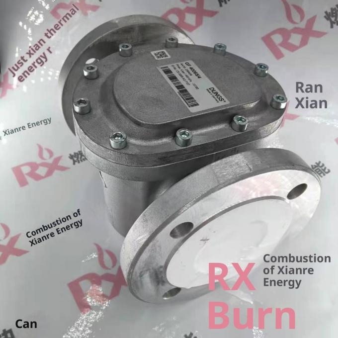 German DUNGS Gas Filter GF40065/4 Original Cast Iron 1 Year Warranty in STOCK Moq 1
