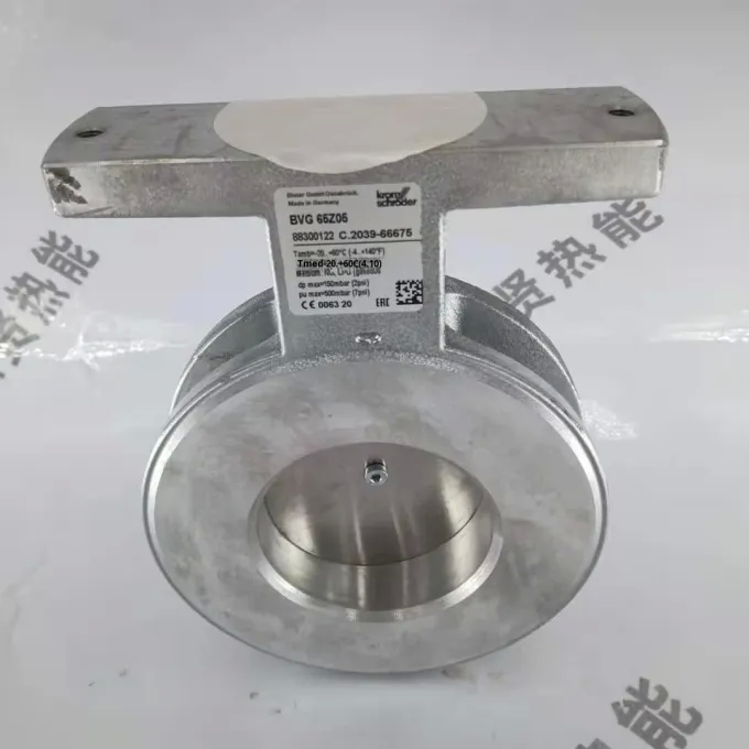 Hocod Krom Original Brand New BVG65Z05 Butterfly Valve in Stock Bvg150Z05 Bvg50Z05 for Boiler Parts