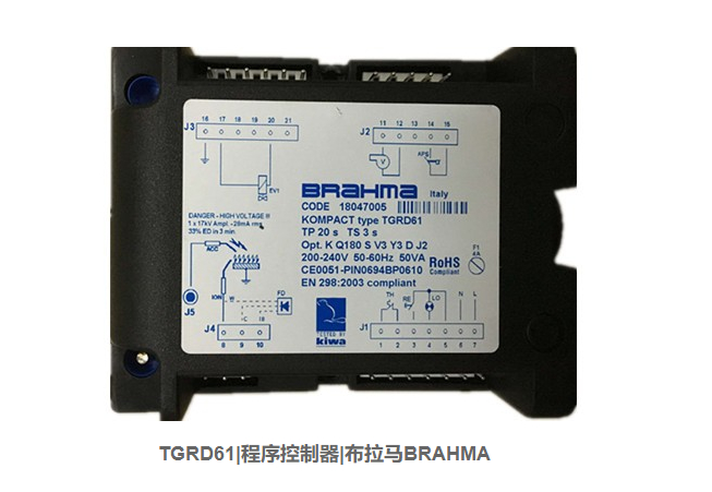 TGRD61   Program Controller for BRAHMA Stock