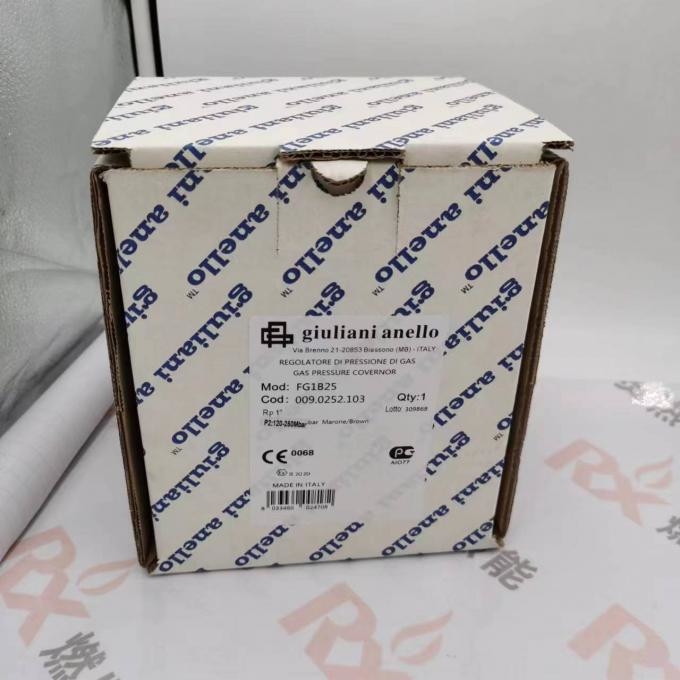 Giuliani FG1B25 Gas Regulating Valve Reducing Valve Spot 20