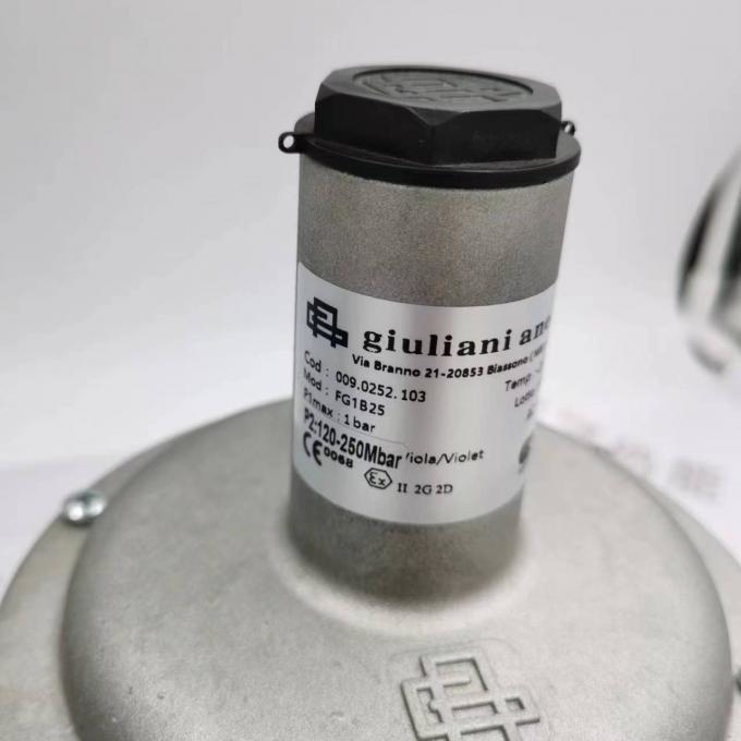 Giuliani FG1B25 Gas Regulating Valve Reducing Valve Spot 20