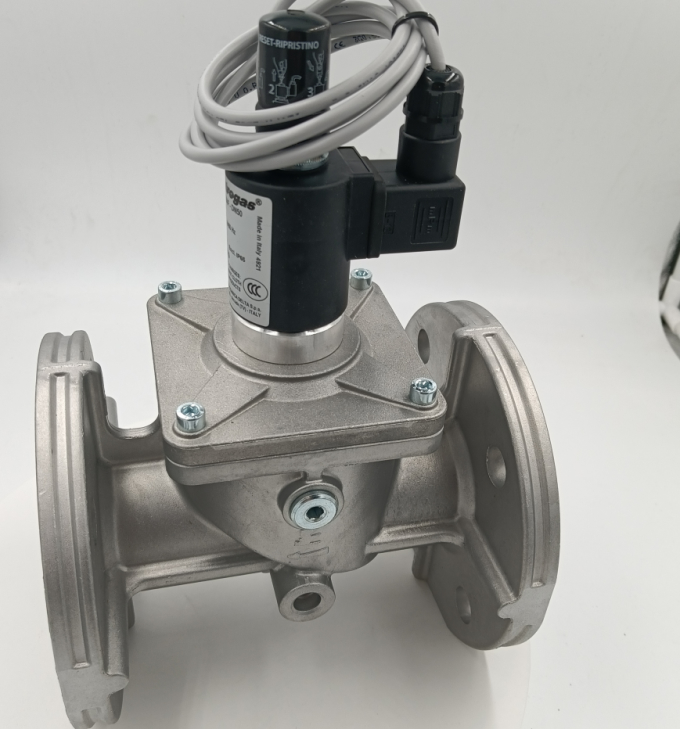 Shang Hai Ran Xian EVRMNC6AF Solenoid Valve for Elektrogas Spot 20