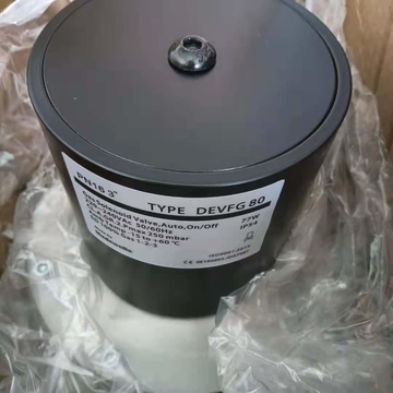 DEVFG65  DEVFG80 DEVFG100  United States Ignition Gas Solenoid Valve for Madewelle STOCK 209