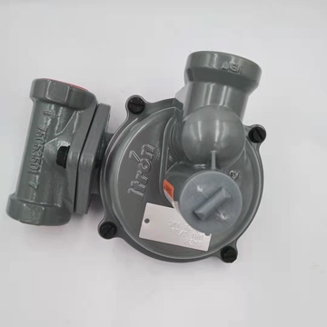 USA Itron B42R Pressure Reducing Valve  Zero Pressure Valve for ITRON Spot Original Boiler Parts