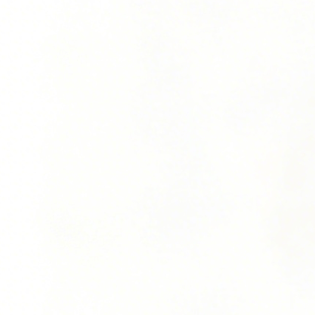 LAMTEC FFS08 UV-4 FFS08 UV-1 FFS 07 UV-1 Flame Detector Discontinued in Stock with Best Price