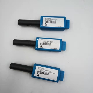 LAMTEC  667R0800-11 Flame Detector   Spot 20