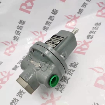 Shang Hai Ran Xian M95H  the Relief Valve for Fisher Stock  209