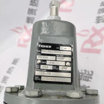 Shang Hai Ran Xian M95H  the Relief Valve for Fisher Stock  209