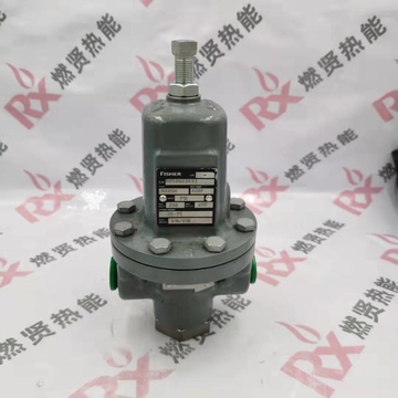 Shang Hai Ran Xian M95H  the Relief Valve for Fisher Stock  209