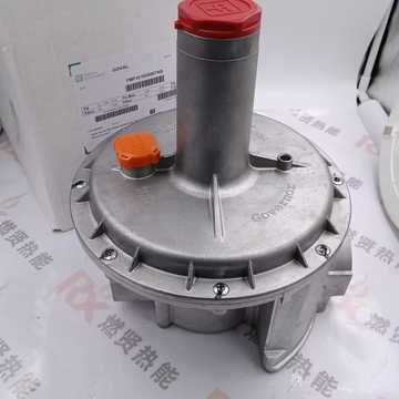 FMF30168F105AB DN100 Electrical Equipment PIETRO FIORENTINI Pressure Reducing & Zero Pressure Valve Spot