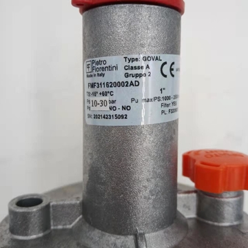 FMF30165  FMF31162  31161 31164 Pressure Reducing Valve  Zero Pressure Valve for Pietro FIORENTINI Stock Boiler Parts