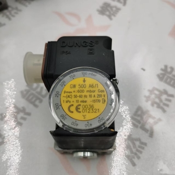 GW500A6    Original and New Gas Pressure Switch  for DUNGS STOCK 200