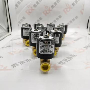 E6G*SR10*1/2*GMO E6G*SR8*1/2*GMO E6G*S10*1/2*GFD Systems Components For Heating  Ignition Gas Solenoid Valve for BRAHMA Stock