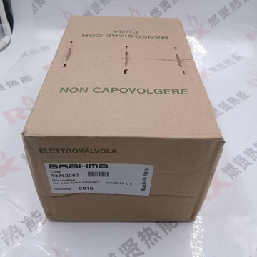 E6G*SR10*1/2*GMO E6G*SR8*1/2*GMO E6G*S10*1/2*GFD Systems Components For Heating  Ignition Gas Solenoid Valve for BRAHMA Stock