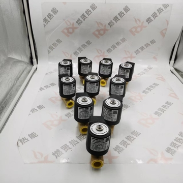 E6G*SR10*1/2*GMO E6G*SR8*1/2*GMO E6G*S10*1/2*GFD Systems Components For Heating  Ignition Gas Solenoid Valve for BRAHMA Stock