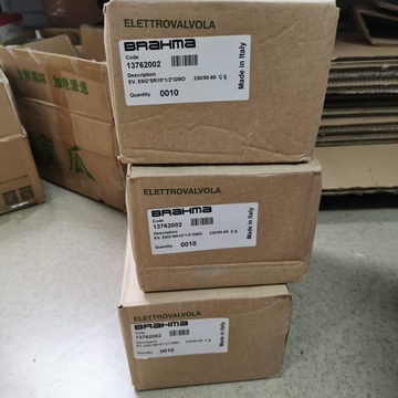 E6G*SR10*1/2*GMO E6G*SR8*1/2*GMO E6G*S10*1/2*GFD Systems Components For Heating  Ignition Gas Solenoid Valve for BRAHMA Stock