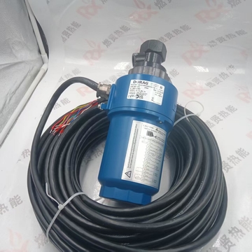 Germany Durag D-LX110UL-C1/M5/0000/PCG  Integrated explosion-proof flame detector STOCK 200