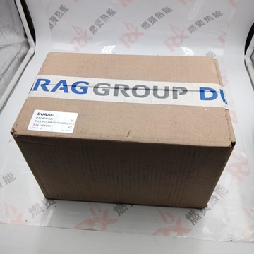 Germany Durag D-LX 110UA-C1/M4/84EX/MCG  Original New Fire Inspection Industrial Plastic Material STOCK 200