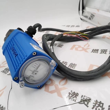 D-LX201UA-C0/M5/87EX United States Ultraviolet Flame Detector/uv D-LX201UA  Flame Detector for DURAG Hegwein STOCK 20