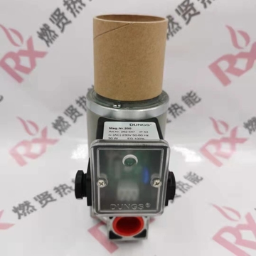 DUNGS MVDLE-207/5  Gas Solenoid Valve Quickly Open and Close Stock200
