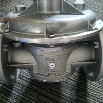 ShangHaiRanXian Germany DUNGS FRS5065  FRS5050 FRS5080 FRS520 FRS515 Pressure Relief Valve Original New Boiler Parts
