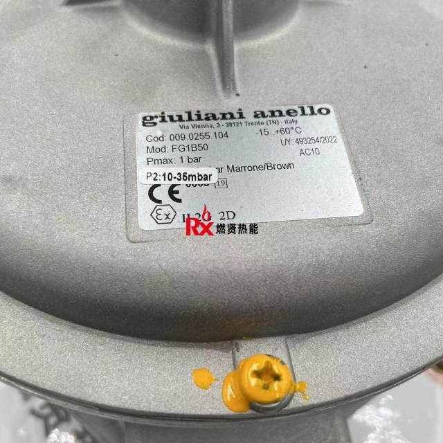 Shang Hai Ran Xian FG1B50 Gas Pressure Reducing Valve for Giuliani in Stock Electrical Equipment