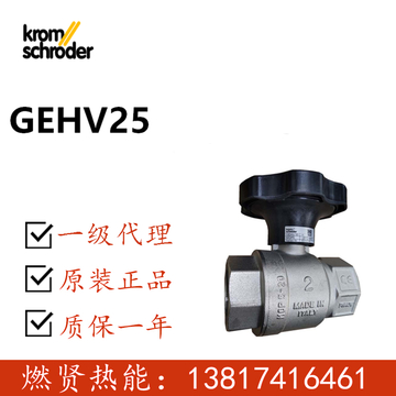 GEHV15 GEHV25 GEHV50 GEHV40 Manual Flow Control Valve for KromSchroder Spot 20