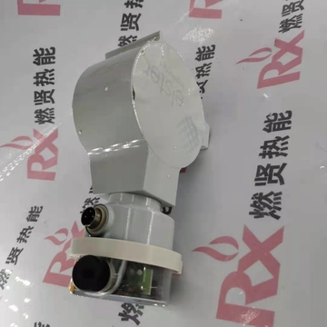 Shang Hai Ran Xian DM 65Z50-40  Flow Meter  Transformer for KromSchroder Spot 20 for Honeywell Elster