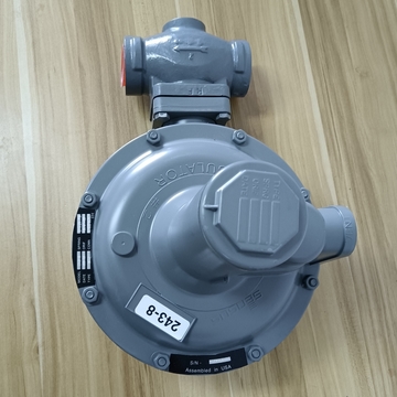 243-8 DC1702-110011000 Gas Pressure Reducing Valve for SENSUS  Stock