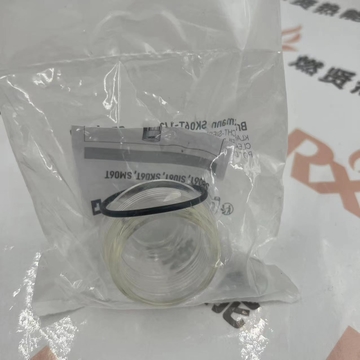SK06T-1/2  Colander Bowl the Filter of the Pressure Reducing Valve for Honeywell Spot 20