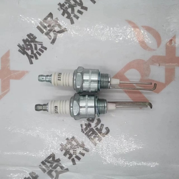 23739 Boiler Parts Ignition Electrode Sensing Probe Electrode Spark Plug 1081870 Detector for MAXON STOCK