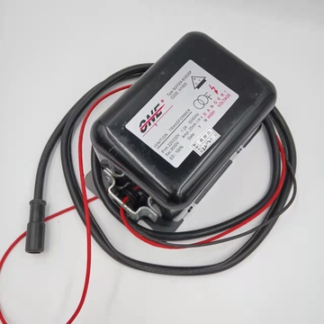 BGY004-8/GS25P   Ignition Transformer 220V  110V  24V High Voltage Pack Made in China
